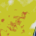 6b6t_3978